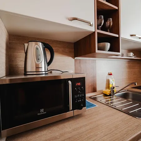 酒店 艾丽卡广场酒店