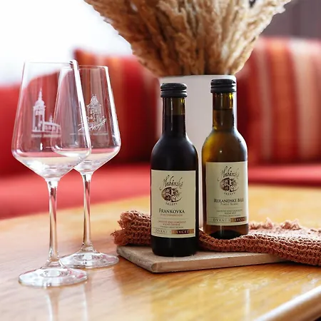 艾丽卡广场酒店 酒店 3*